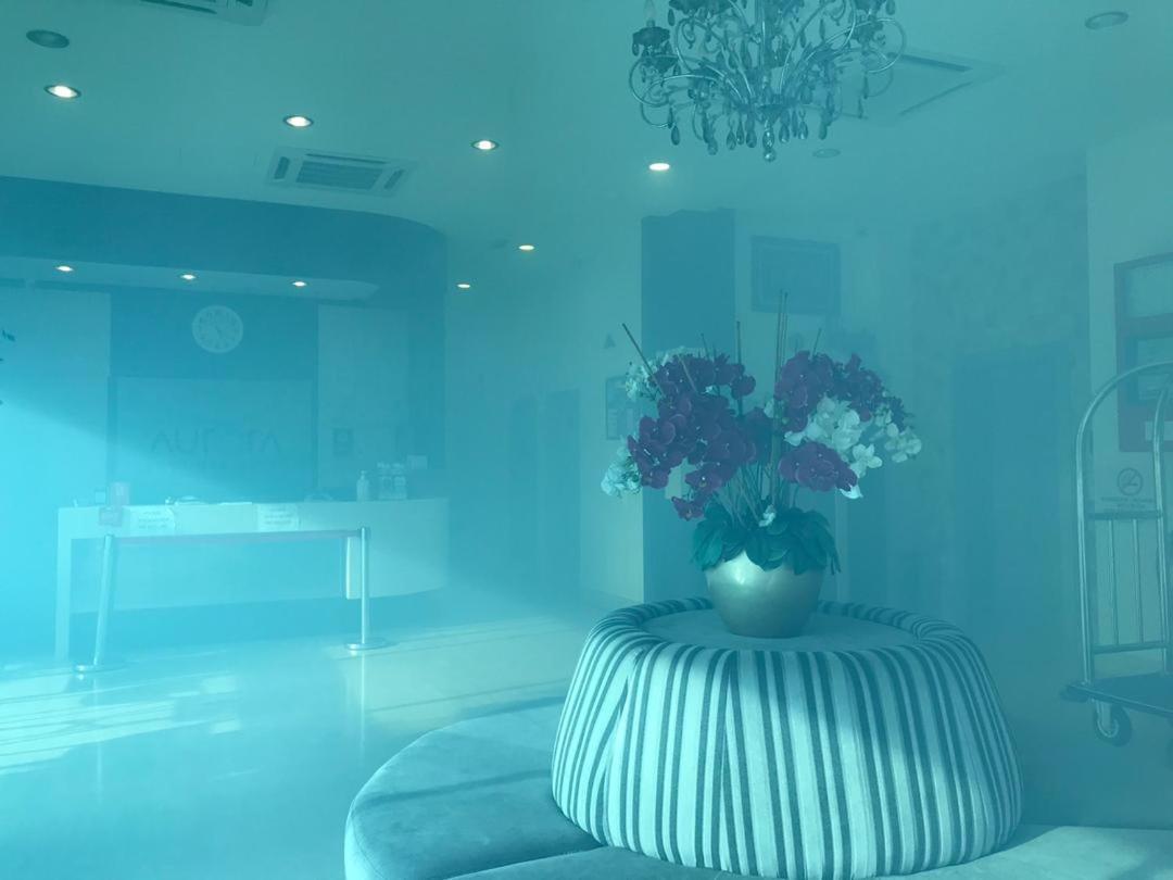 Aurora Boutique Hotel Bahau Екстериор снимка
